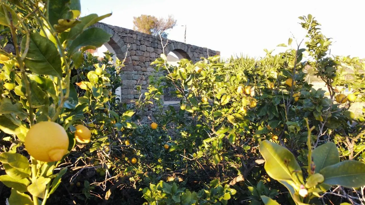 Pantelleria Dammusi Belvedere Scauri  Casa vacanze Scauri (Sicily)